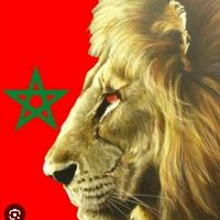 sassoulionne2latl