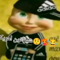 kawaschjalal