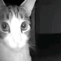 scary