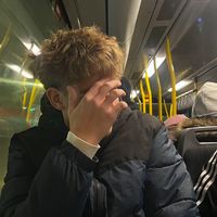 stenmarten_