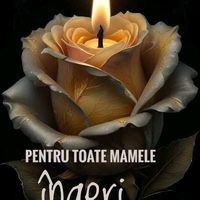 pauladenisa52