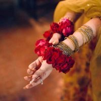 ziddi_kuri477