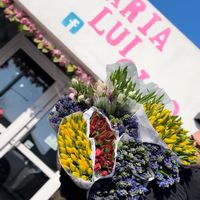 florarialuigino