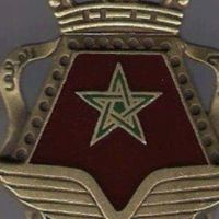wardalhassani