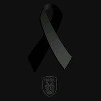 absolute_paok.4