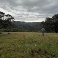 marcetineo_