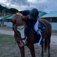 cha_equestrian