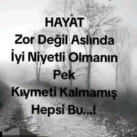 orijinal ses