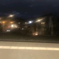 maik_75_pf