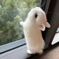 randomuser23873