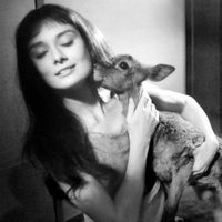original sound