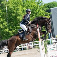 me_showjumping