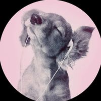 horse.rddelx
