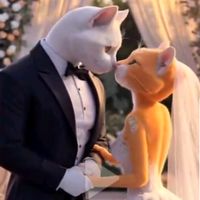 meowfandiary