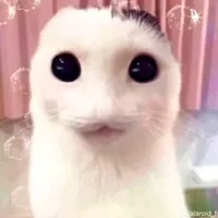 original sound - radioactive_socks