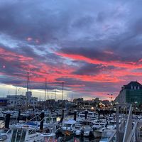 username_01110413