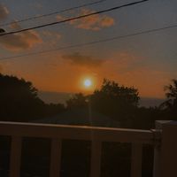 txhx_z25