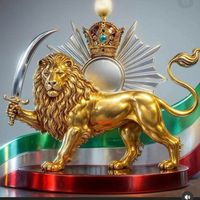 amman_wien12345