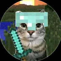thewisecat_twc