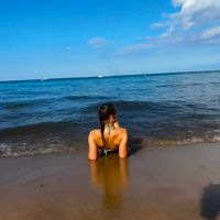 avaxdavisx