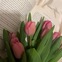 dontblamemybooks