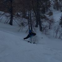 allan_vacheron
