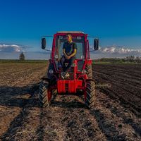 zsombor_agro