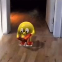 19.99sec