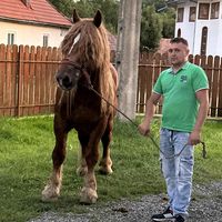 claudiuserdean976