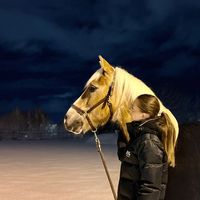 auroraa.equee