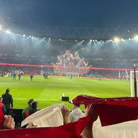 arsenal_in.de.blood