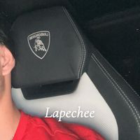 lapechee0