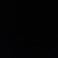 dayski_243