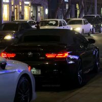 greg_spotting