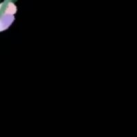 secret__account._0