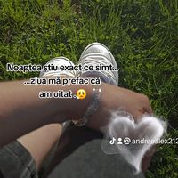 andreealex212