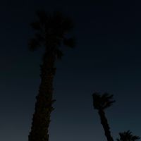 charliemaxw2170