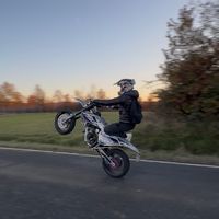 _vince.495
