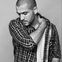 shaynetward