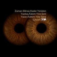 orijinal ses