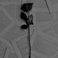 mots.sur.des.maux