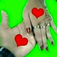 aboualye10