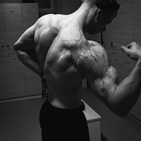 rozerolifts