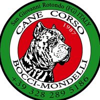canecorso.boccimondelli