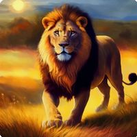 tiktok.comsamlion.com