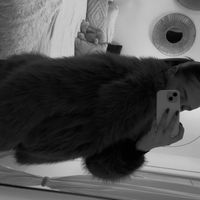 clemm_tlzz