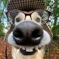 mrgeorge583