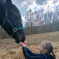 zizi_equine
