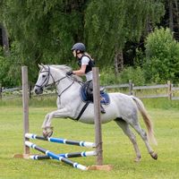 equi_juni