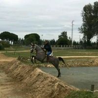 juanprietorojo